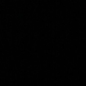 Meet your Posher, Donovan